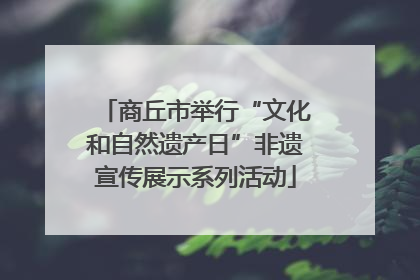 商丘市举行“文化和自然遗产日”非遗宣传展示系列活动