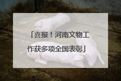 喜报！河南文物工作获多项全国表彰
