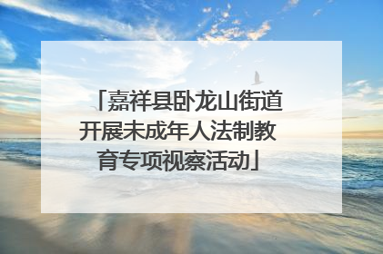 嘉祥县卧龙山街道开展未成年人法制教育专项视察活动