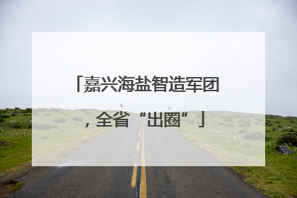 嘉兴海盐智造军团，全省“出圈”