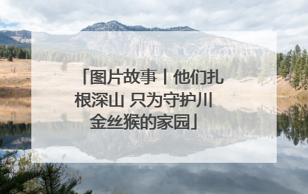 图片故事丨他们扎根深山 只为守护川金丝猴的家园