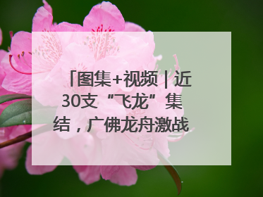 图集+视频｜近30支“飞龙”集结，广佛龙舟激战第60届荔湾“沙溪景”