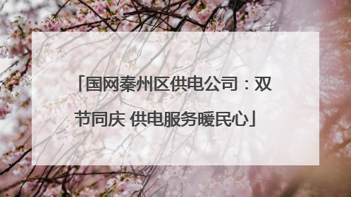 国网秦州区供电公司：双节同庆 供电服务暖民心