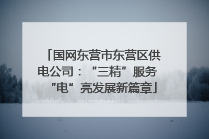 国网东营市东营区供电公司：“三精”服务“电”亮发展新篇章