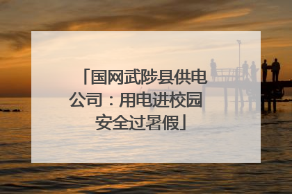 国网武陟县供电公司：用电进校园  安全过暑假