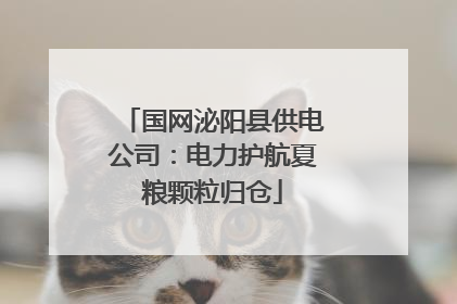 国网泌阳县供电公司：电力护航夏粮颗粒归仓