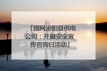 国网泌阳县供电公司：开展安全宣传咨询日活动