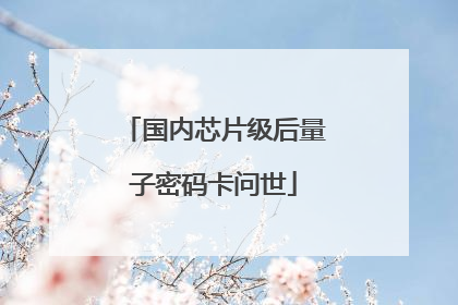 国内芯片级后量子密码卡问世