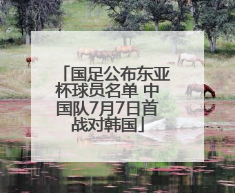 国足公布东亚杯球员名单 中国队7月7日首战对韩国