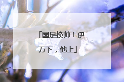 国足换帅！伊万下，他上