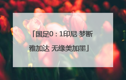国足0∶1印尼 梦断雅加达 无缘美加墨