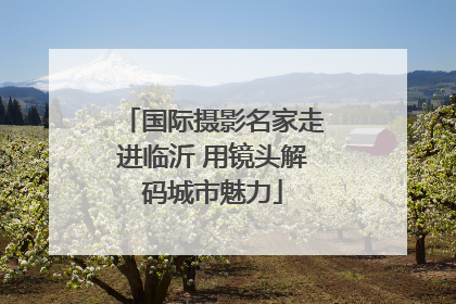国际摄影名家走进临沂 用镜头解码城市魅力