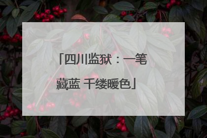 四川监狱：一笔藏蓝 千缕暖色
