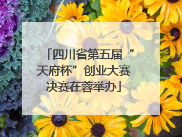 四川省第五届“天府杯”创业大赛决赛在蓉举办