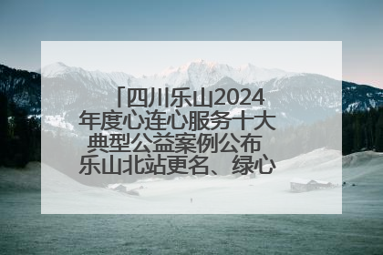 四川乐山2024年度心连心服务十大典型公益案例公布 乐山北站更名、绿心路井盖治理等上榜
