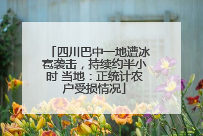 四川巴中一地遭冰雹袭击，持续约半小时 当地：正统计农户受损情况