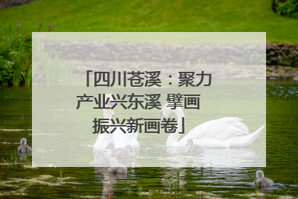 四川苍溪：聚力产业兴东溪 擘画振兴新画卷
