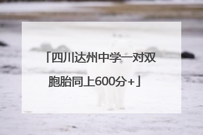 四川达州中学一对双胞胎同上600分+