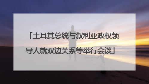 土耳其总统与叙利亚政权领导人就双边关系等举行会谈