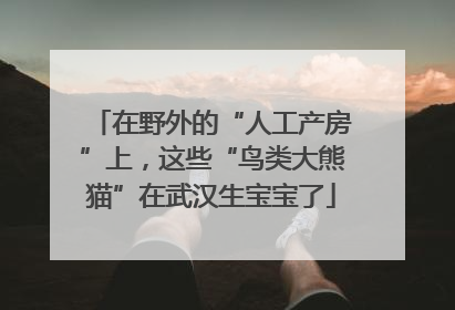 在野外的“人工产房”上，这些“鸟类大熊猫”在武汉生宝宝了