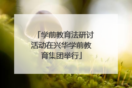 学前教育法研讨活动在兴华学前教育集团举行