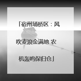 宿州埇桥区：风吹麦浪金满地 农机轰鸣保归仓