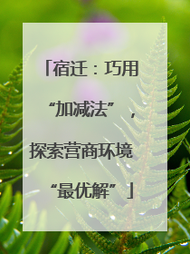 宿迁：巧用“加减法”，探索营商环境“最优解”