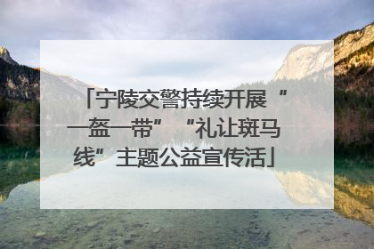 宁陵交警持续开展“一盔一带”“礼让斑马线”主题公益宣传活