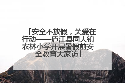 安全不放假，关爱在行动——庐江县同大镇农林小学开展暑假前安全教育大家访