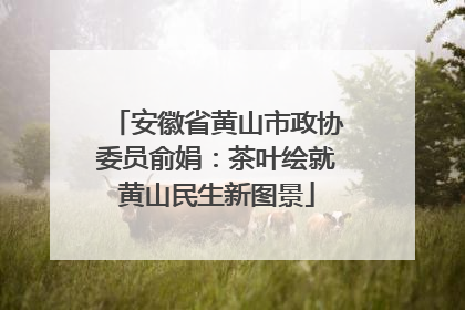 安徽省黄山市政协委员俞娟：茶叶绘就黄山民生新图景