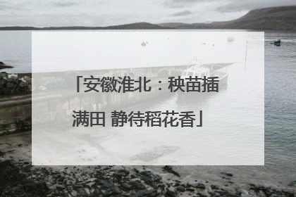 安徽淮北：秧苗插满田 静待稻花香