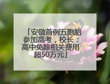 安徽首例五胞胎参加高考，校长：高中免除相关费用超50万元
