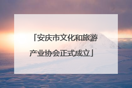 安庆市文化和旅游产业协会正式成立