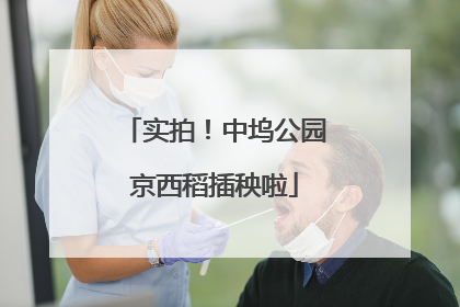 实拍！中坞公园京西稻插秧啦