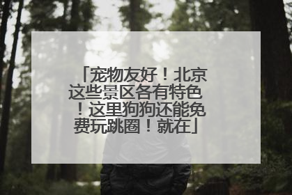 宠物友好！北京这些景区各有特色！这里狗狗还能免费玩跳圈！就在