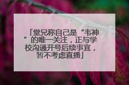 堂兄称自己是“韦神”的唯一关注，正与学校沟通开号后续事宜，暂不考虑直播