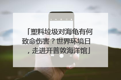 塑料垃圾对海龟有何致命伤害？世界环境日，走进开普敦海洋馆