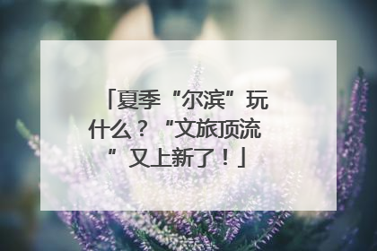 夏季“尔滨”玩什么？“文旅顶流”又上新了！