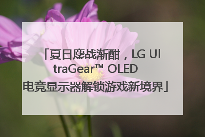 夏日鏖战渐酣，LG UltraGear™ OLED电竞显示器解锁游戏新境界