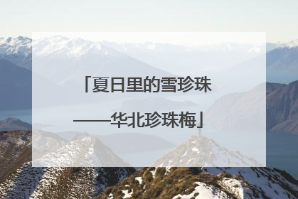 夏日里的雪珍珠——华北珍珠梅