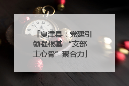 夏津县：党建引领强根基 “支部主心骨”聚合力