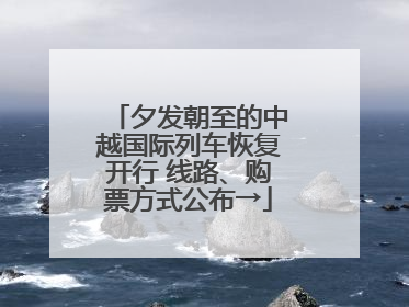 夕发朝至的中越国际列车恢复开行 线路、购票方式公布→