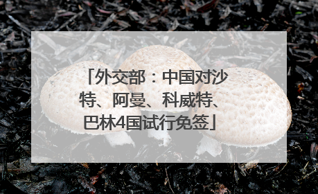 外交部：中国对沙特、阿曼、科威特、巴林4国试行免签