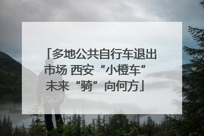 多地公共自行车退出市场 西安“小橙车”未来“骑”向何方