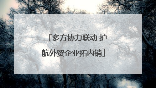 多方协力联动 护航外贸企业拓内销