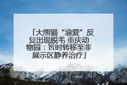大熊猫“渝爱”反复出现脱毛 重庆动物园：暂时转移至非展示区静养治疗