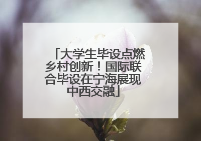 大学生毕设点燃乡村创新！国际联合毕设在宁海展现中西交融