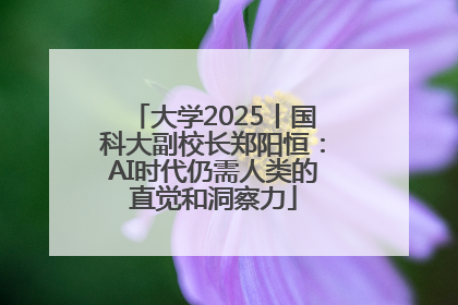 大学2025丨国科大副校长郑阳恒：AI时代仍需人类的直觉和洞察力