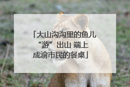 大山沟沟里的鱼儿 “游”出山 端上成渝市民的餐桌