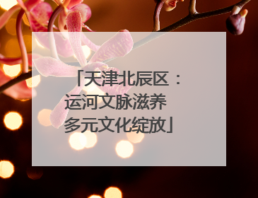 天津北辰区：运河文脉滋养 多元文化绽放